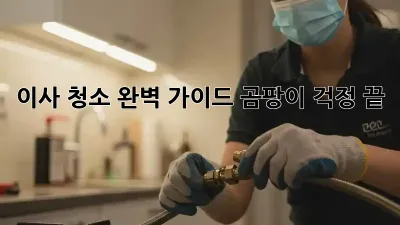 이사 청소 완벽 가이드: 곰팡이 걱정 끝! ✨
