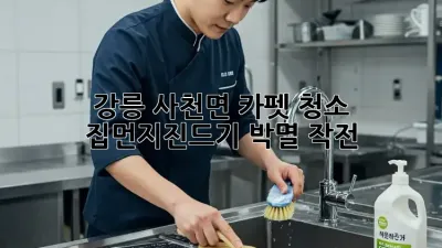 강릉 사천면 카펫 청소: 집먼지진드기 박멸 작전!